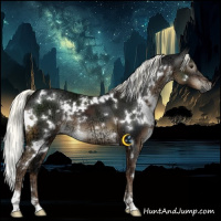 Horse Color:Gray White Spotted Liver Chestnut Ice Mushroom 