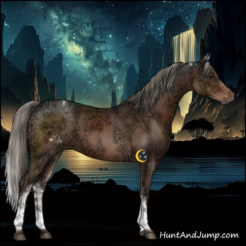 Horse Color:White Spotted Liver Chestnut Ice Mushroom