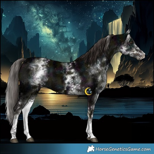 Horse Color:White Spotted Midnight Liver Chestnut Ice