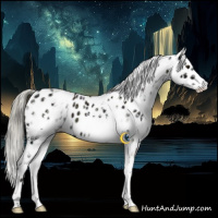 Horse Color:White Spotted Midnight Liver Red Dun Ice Mushroom Appaloosa Brindle
