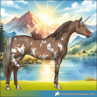 Horse Color:White Spotted Liver Red Dun 