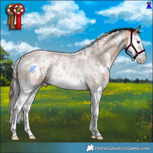 Horse Color:White Spotted Bay Roan Splash Rabicano 