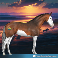 Horse Color:Bay Splash 
