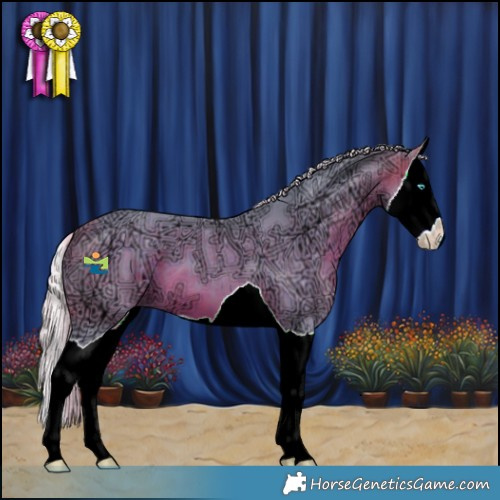 Horse Color:Watercolor Silver Brown Ice Splash 