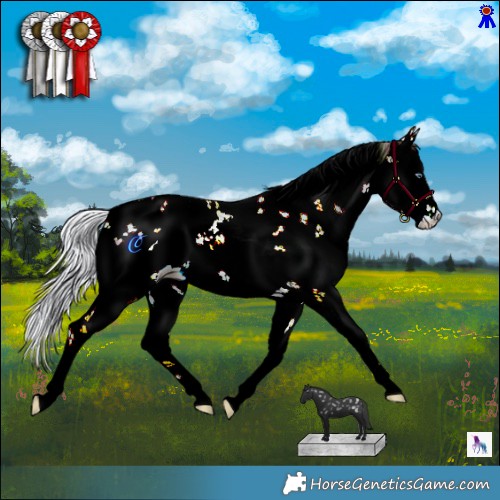 Horse Color:Watercolor Silver Brown Chinchilla Sabino 