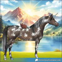 Horse Color:White Spotted Brown Dun 