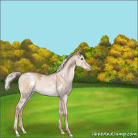 Horse Color:White Spotted Silver Sable Champagne Dun Mushroom Brindle 