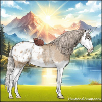 Horse Color:Chocolate Palomino Ice Dun Sabino Splash Appaloosa Rabicano