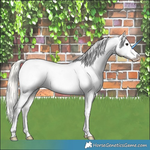 Horse Color:Silver Smoky Grullo Ice Appaloosa 