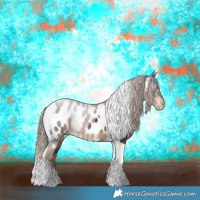 Horse Color:Liver Chestnut Tobiano Appaloosa 