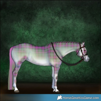 Horse Color:Plaid  Liver Red Dun Onyx Tobiano Rabicano 