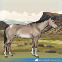 Horse Color:Liver Red Dun Tobiano Rabicano