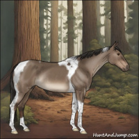 Horse Color:Liver Red Dun Tobiano Rabicano 