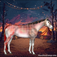 Horse Color:Plaid Liver Red Dun Onyx Tobiano Rabicano
