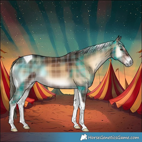 Horse Color:Plaid Liver Red Onyx Tobiano