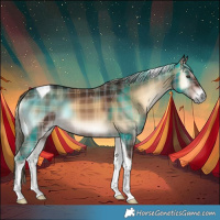 Horse Color:Plaid  Liver Red Onyx Tobiano 