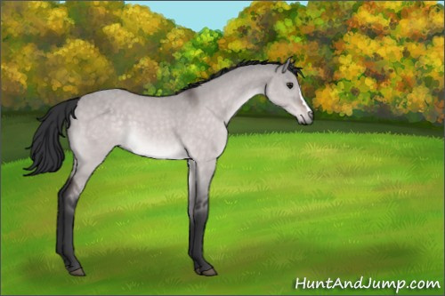 Horse Color:Platinum Brown Dun 