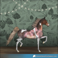 Horse Color:Liver Chestnut Tobiano 