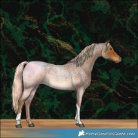 Horse Color:Chocolate Palomino Roan Tobiano 