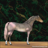 Horse Color:Chocolate Palomino Roan Tobiano 