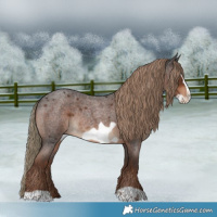 Horse Color:Liver Red Roan Frame Rabicano