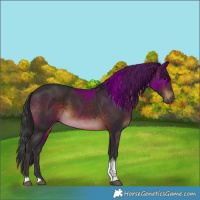 Horse Color:Brown Tobiano 