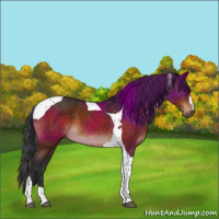 Horse Color:Brown Tobiano