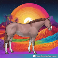 Horse Color:Liver Red Dun Sabino Tobiano Rabicano 