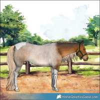 Horse Color:Chocolate Palomino Tobiano 