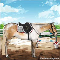 Horse Color:White Spotted Chocolate Palomino Dun 