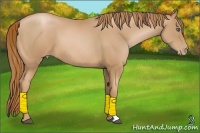 Horse Color:Chestnut Pearl 
