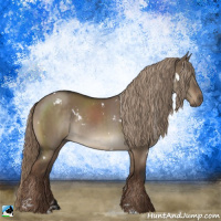 Horse Color:White Spotted Liver Red Dun Sabino Rabicano 