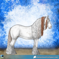 Horse Color:Liver Red Dun Sabino Rabicano Brindle 