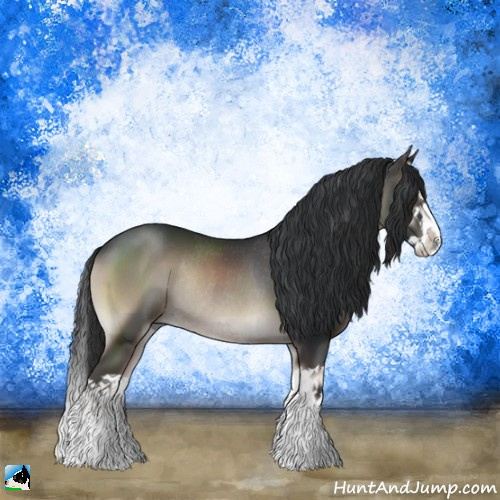 Horse Color:Blue Onyx Splash Rabicano 