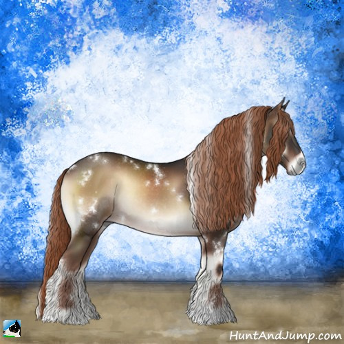 Horse Color:White Spotted Liver Red Onyx Sabino Rabicano 