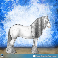 Horse Color:Grullo Onyx Mushroom Sabino Rabicano Brindle 