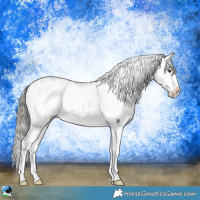 Horse Color:Liver Red Dun Ice Onyx Mushroom Sabino Rabicano Brindle 