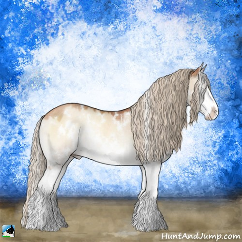 Horse Color:White Spotted Gold Champagne Onyx Sabino Splash Rabicano 