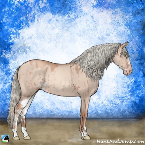 Horse Color:Gold Champagne Dun Mushroom Sabino Rabicano Brindle 