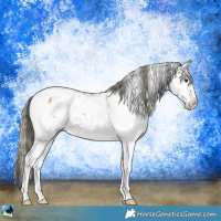 Horse Color:Liver Red Dun Ice Mushroom Sabino Rabicano Brindle 