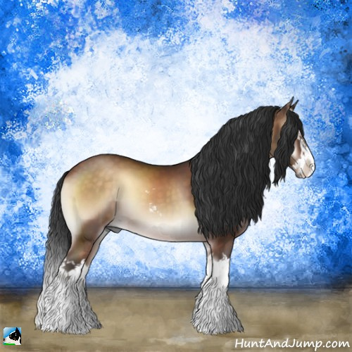 Horse Color:Brown Onyx Sabino Splash 