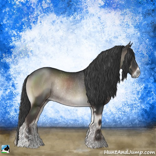 Horse Color:Blue Onyx Mushroom Sabino Rabicano 