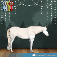 Horse Color:Perlino Dun Splash 