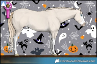 Horse Color:Smoky Creme Dun Splash 