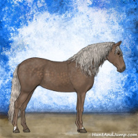 Horse Color:Silver Black 
