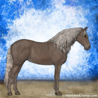 Horse Color:Silver Black 