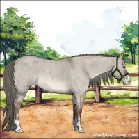 Horse Color:Liver Red Dun Roan Mushroom Sabino 