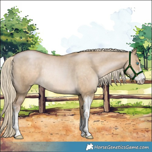 Horse Color:Chocolate Palomino Pearl Dun Sabino Rabicano 