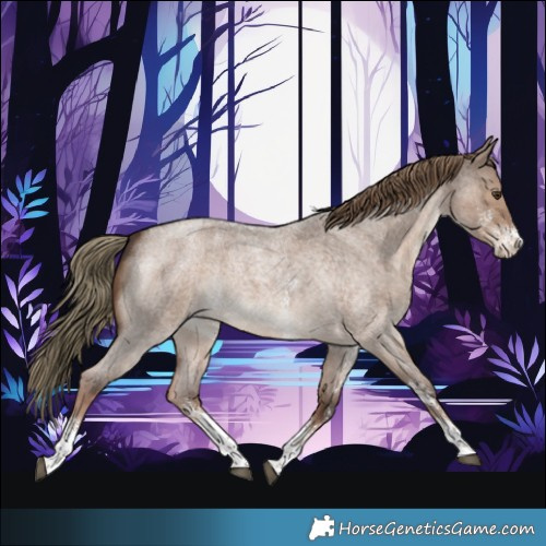 Horse Color:Liver Red Dun Roan Sabino