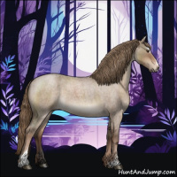 Horse Color:Liver Red Dun Roan Sabino 